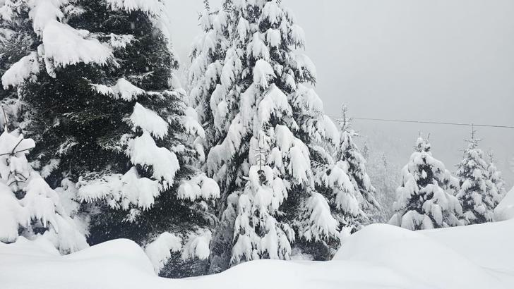 Rize'nin yüksekleri beyaza büründü