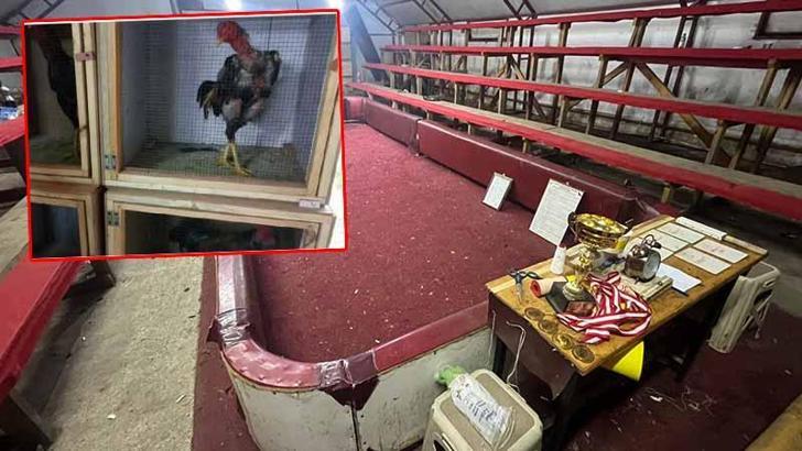 Horoz dövüştüren 34 kişiye toplam 100 bin 402 TL ceza