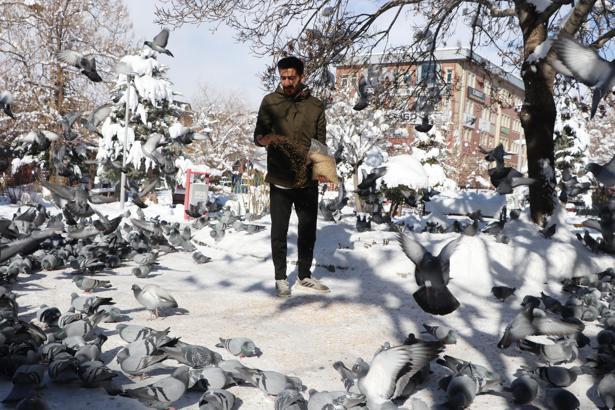 Esnaf, sokaktaki güvercinleri 20 yıldır besliyor