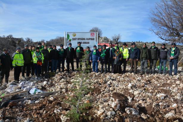 Şehit Ertuğrul Ulupınar Sedir Ormanı oluşturuldu