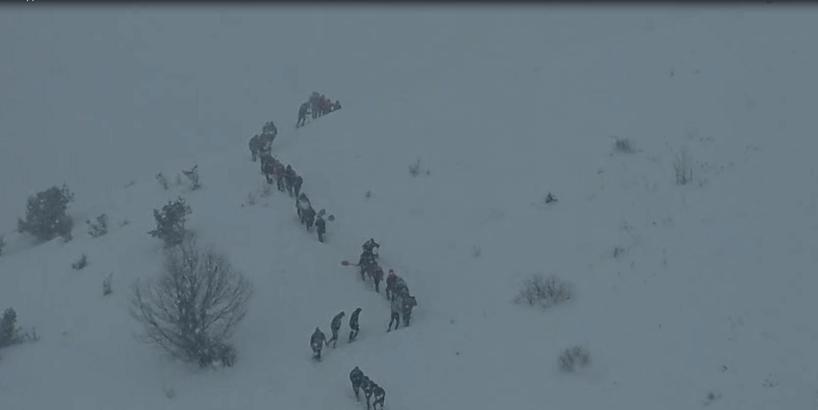 Artvin’de 1 kişinin öldüğü çığda kar altında kalan 2 çoban aranıyor