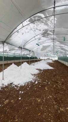 Siirt’te kar nedeniyle seralar çöktü, cami girişindeki çatı yıkıldı