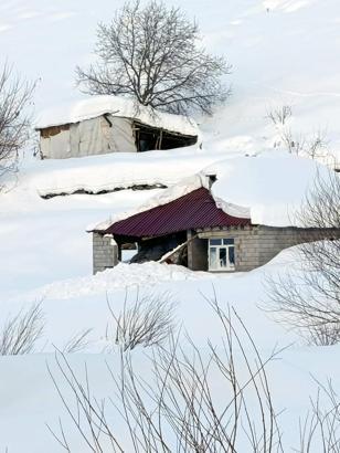 Hakkari’de çığ düştü: 8 boş ev ve 2 ahır zarar gördü, 120 küçükbaş öldü