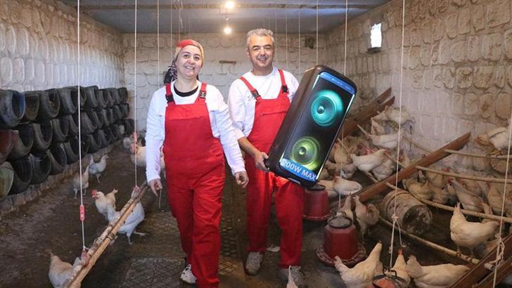 Türk sanat müziği dinlettiği tavuklardan yüzde 6 verim artışı sağladı