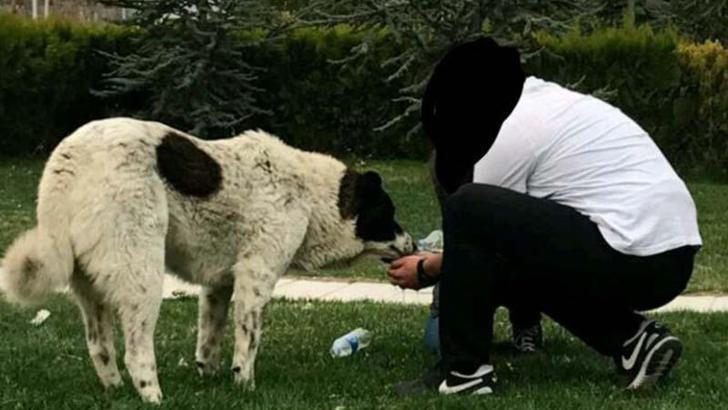 'Matmazel'in darbedilerek öldürüldüğü iddiasına soruşturma