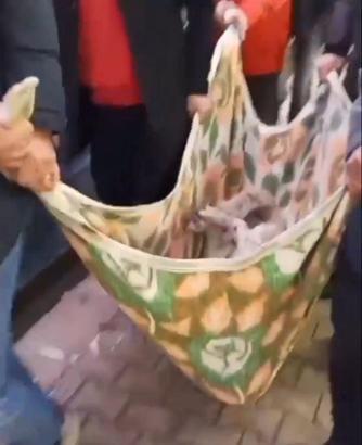 'Matmazel'in darbedilerek öldürüldüğü iddiasına soruşturma