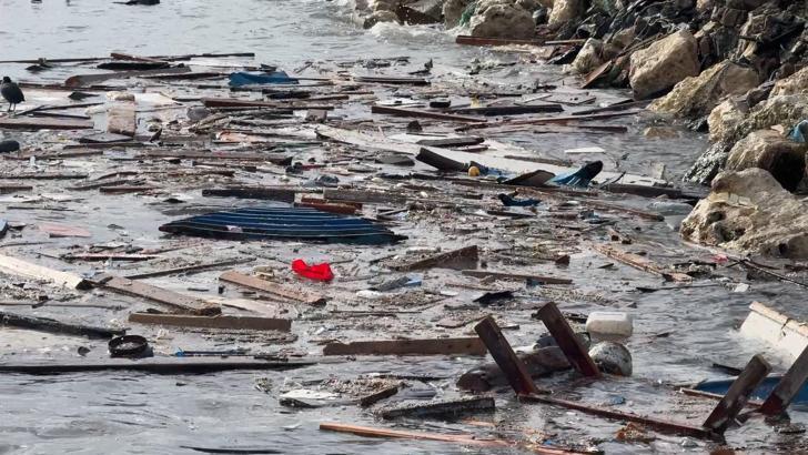 İstanbul - Avcılar'da lodosla kıyıya taşınan yosun ve çöpler temizlendi