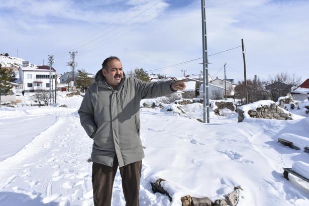 Yaban hayvanları, köpeksiz köyü mesken tuttu