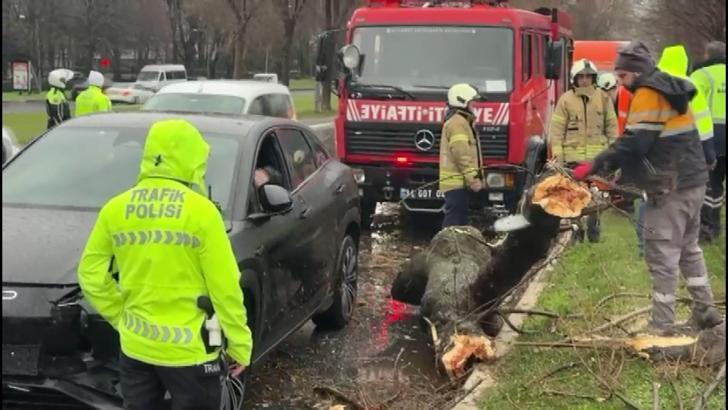 İstanbul- Bakırköy'de rüzgar nedeniyle kopan ağaç dalı otomobilin üzerine düştü; 4 araç birbirine girdi