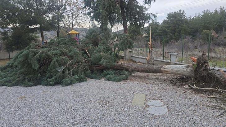 Buldan'da kuvvetli fırtına, baca kapağını uçurdu, ağacı devirdi