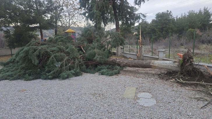 Buldan'da kuvvetli fırtına, baca kapağını uçurdu, ağacı devirdi