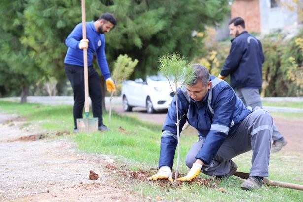 Toroslar’da ağaçlandırma seferberliği