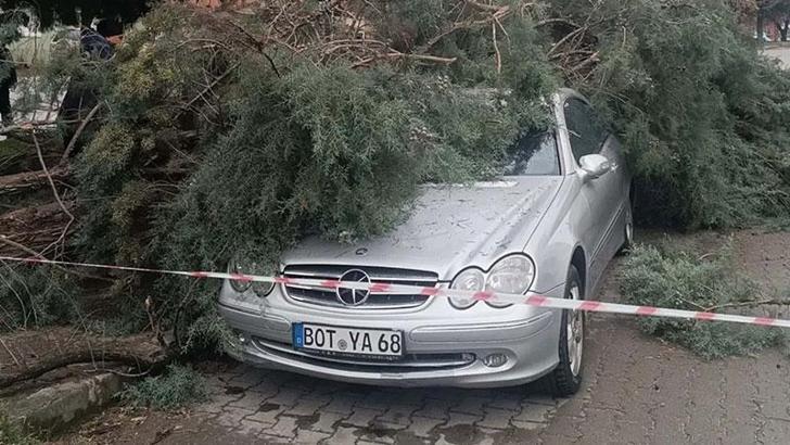 Gediz'de fırtına; ağaçlar devrildi, bina dış cephe kaplamaları söküldü