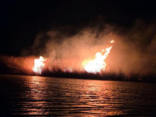 Milleyha Kuş Cenneti’nde sazlık yangını