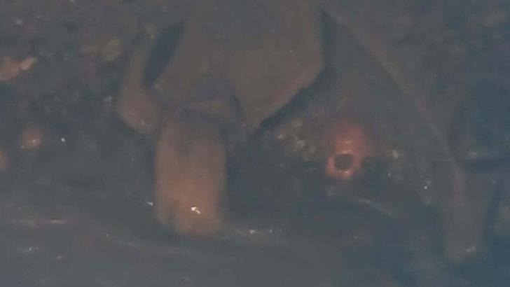 Manisa'da çöken yolda insan kafatası ve kemikler bulundu