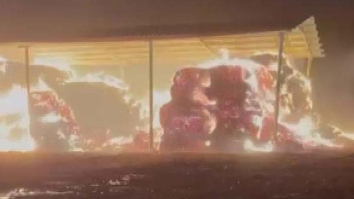 Unutulan ateşin közünden sıçrayan kıvılcımlar, çiftlikteki saman balyalarını yaktı