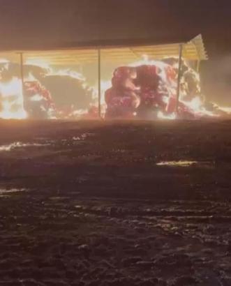 Unutulan ateşin közünden sıçrayan kıvılcımlar, çiftlikteki saman balyalarını yaktı