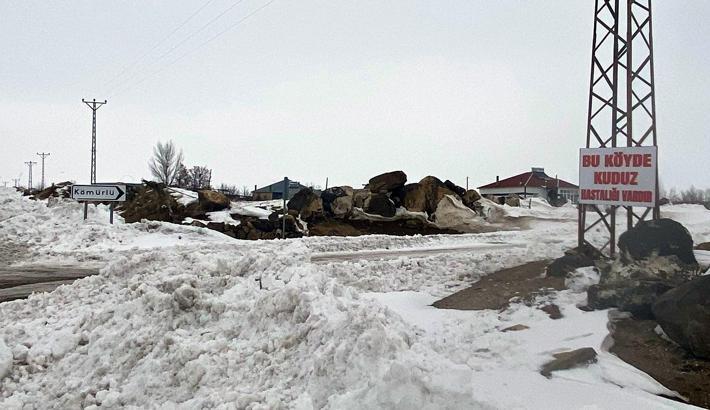 Adilcevaz'da kuduz vakası tespit edilen köy, karantinaya alındı
