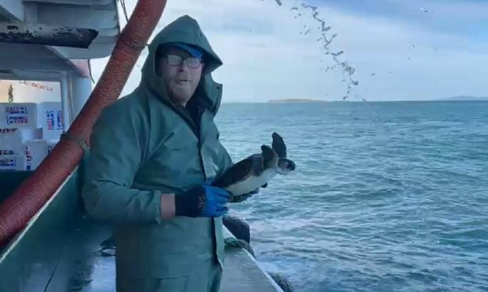 Çanakkale'de balık ağına takılan caretta caretta kurtarıldı