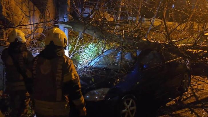 Beykoz'da fırtınada devrilen ağaç 2 otomobilin üzerine düştü