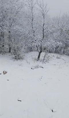 Çanakkale'nin yüksek kesimlerinde kar yağışı