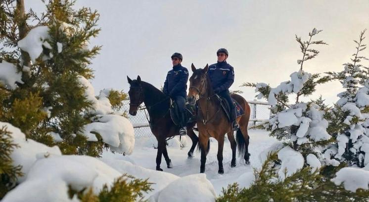 Atlı jandarma birlikleri, kaçak avcılara karşı devriye faaliyeti gerçekleştirdi