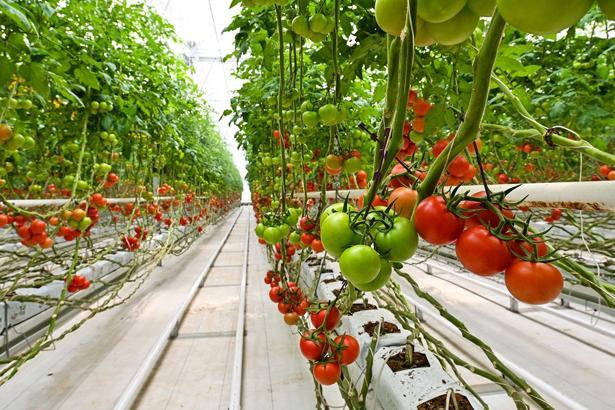 HEKTAŞ, ESG derecelendirmesinde ikinci olduğunu duyurdu