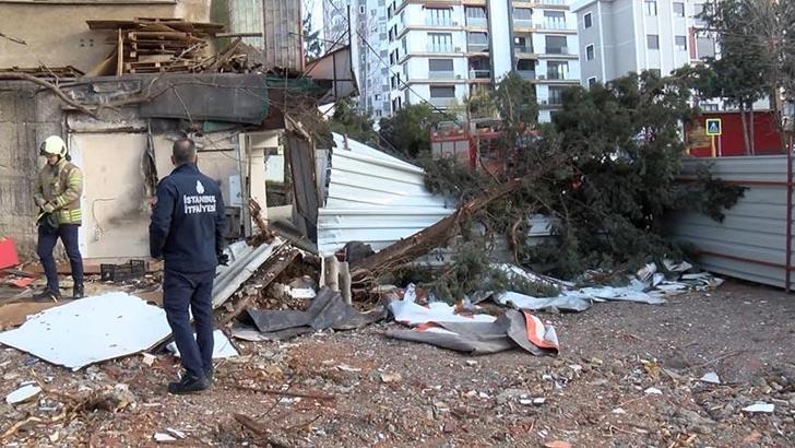 Maltepe’de kökünden kırılan ağaç park halindeki otomobilin üzerine devrildi
