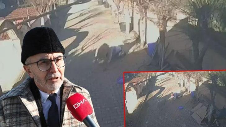 Profesör, koç saldırısını değerlendirdi: Ya oyun ya da içgüdüsel olarak saldırganlık sanıyor