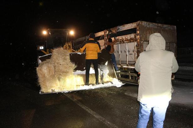 Bingöl’de tipide mahsur kalan büyükbaş hayvanlara saman ulaştırıldı