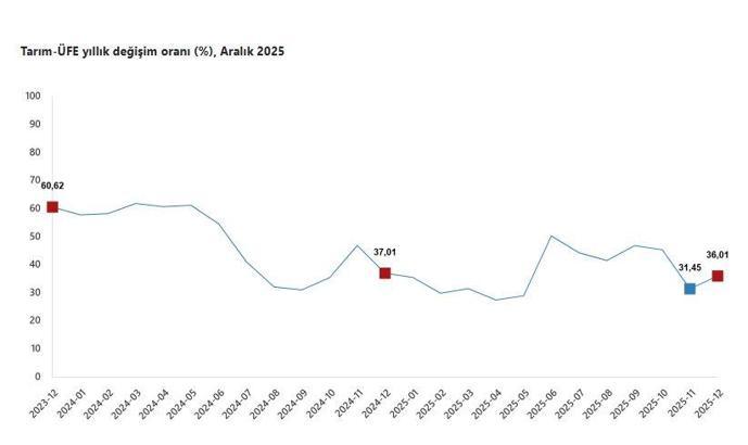 TÜİK: Tarım ürünleri üretici fiyatları aralıkta arttı