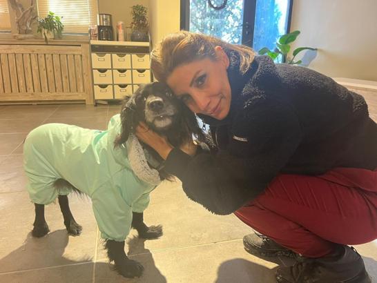 Kliniğine terk edilen köpeği sahiplendi
