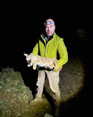Dr. İlemin: Karakulak türünü Akdeniz ekosistemi için gösterge tür olarak tescilledik