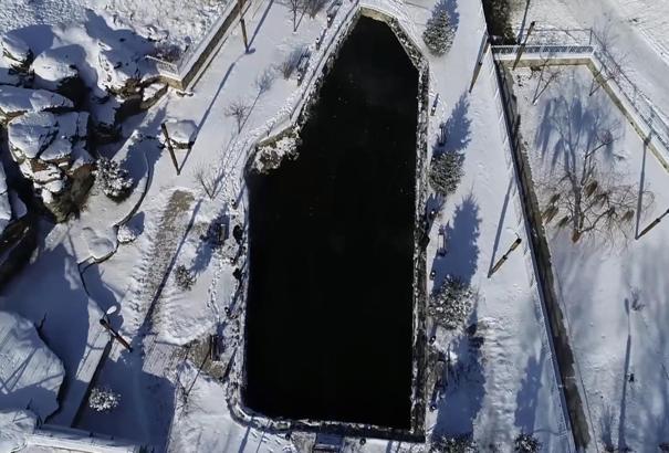 Erzurum'daki Balıklıgöl, eksi 30 derecede bile donmuyor