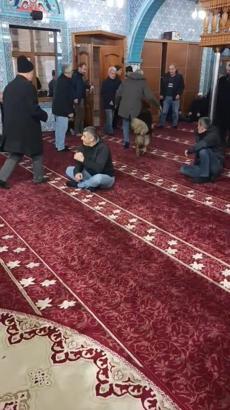 Camiye giren sokak köpeği, cemaatin arasında dolaştı