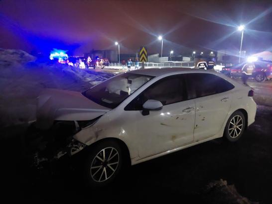 Yola çıkan domuz sürüsüne çarpan otomobildeki 3 kişi yaralandı