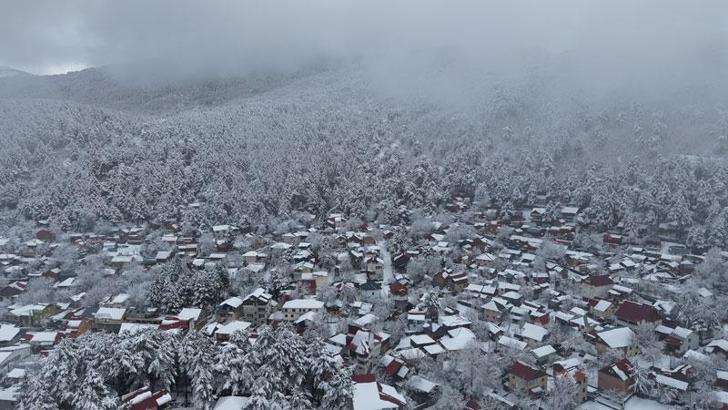 Yaylalarda kar ve sis, eşsiz manzaralar oluşturdu
