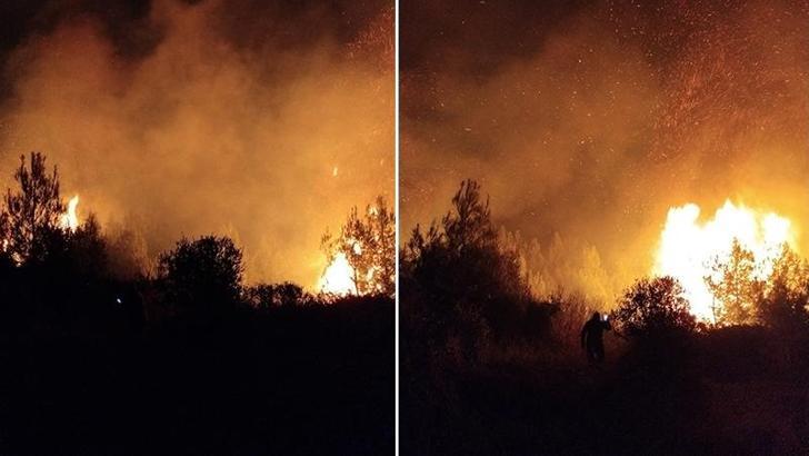 Antalya'da orman yangını