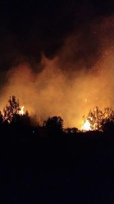 Antalya'da orman yangını