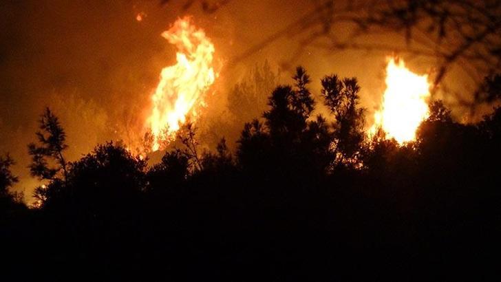 Antalya'da orman yangını