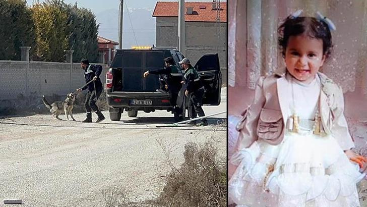 Rana'nın köpek saldırısında ölümüne ilişkin 2 belediye yetkilisi hakkında soruşturma izni