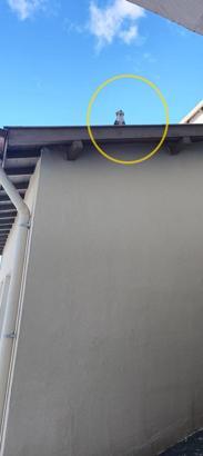 Çatıda mahsur kalan kediyi itfaiye kurtardı