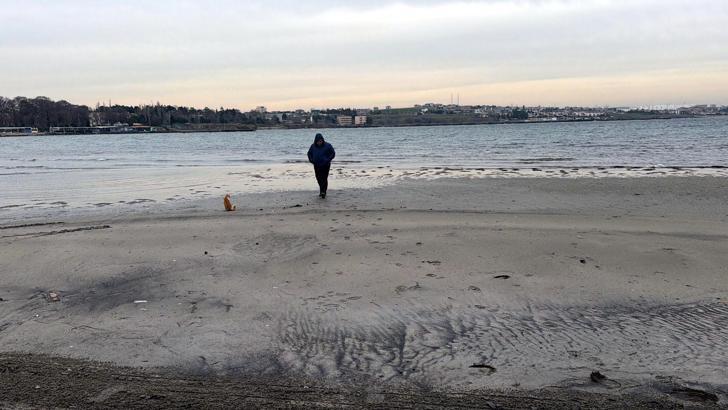 Tekirdağ'da deniz 50 metre çekildi