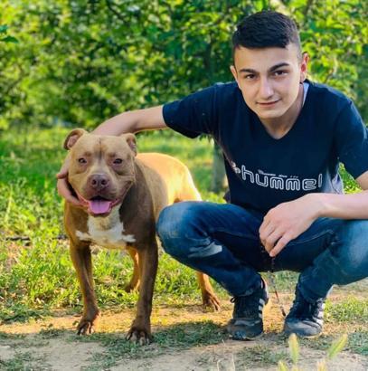 Gece kaza yapan otomobil, gündüz fark edildi