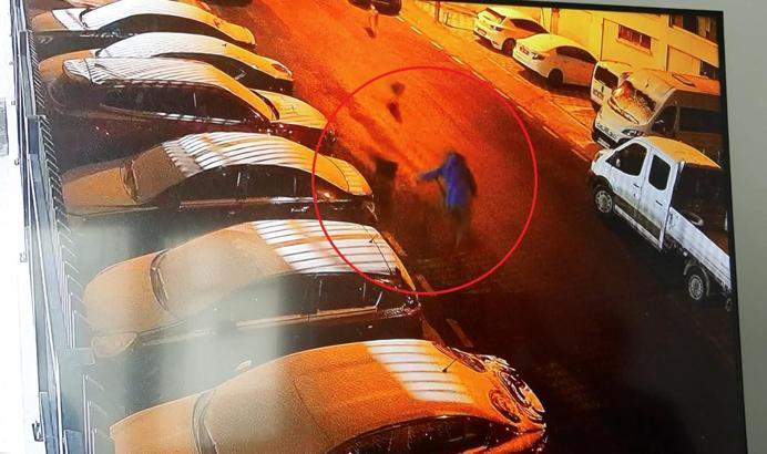 Köpeklerin saldırısından kaçarken düştü, kolu kırıldı / Ek fotoğraflar