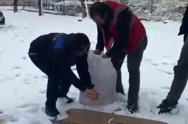 Gaziantep’te hayvanlar için doğaya yem bırakıldı