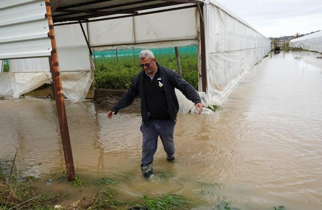 'Sarı kod'la uyarılan Antalya'da tarım alanları su altında kaldı / Ek fotoğraflar