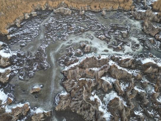 Sultan Sazlığı Milli Parkı'ndaki sulak alanlar buz tuttu