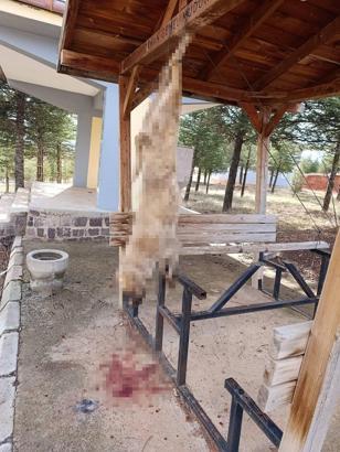 Köpek, işkence yapılarak öldürüldü