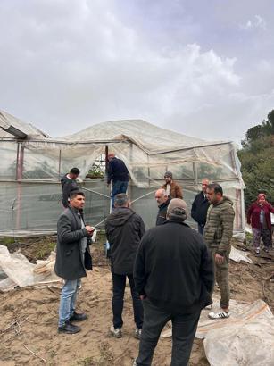 Muğla Tarım Müdürü Baydar'dan zarar gören seralarda inceleme